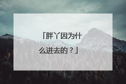 胖丫因为什么进去的？