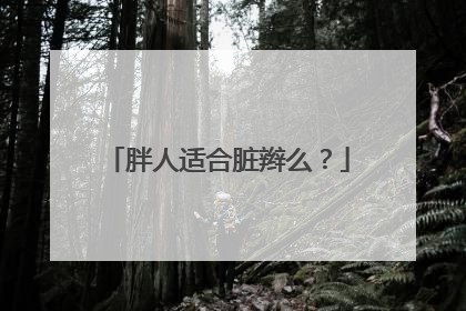 胖人适合脏辫么?