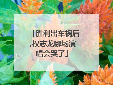 胜利出车祸后,权志龙哪场演唱会哭了