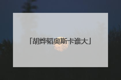 胡烨韬奥斯卡谁大