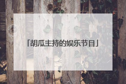 胡瓜主持的娱乐节目