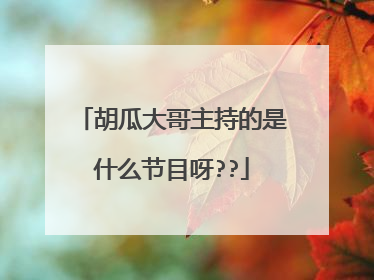 胡瓜大哥主持的是什么节目呀??