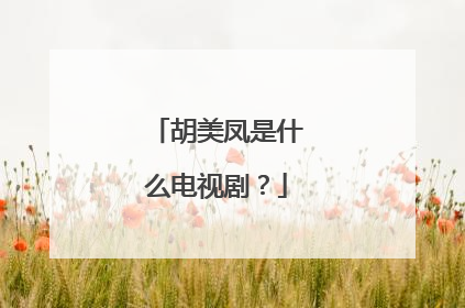 胡美凤是什么电视剧？