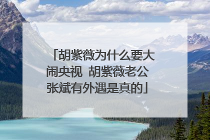 胡紫薇为什么要大闹央视 胡紫薇老公张斌有外遇是真的