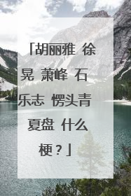 胡丽雅 徐晃 萧峰 石乐志 愣头青 夏盘 什么梗？