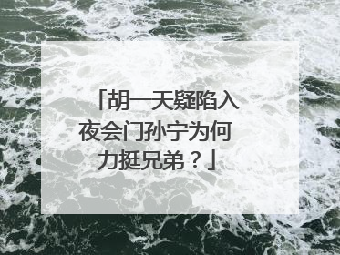 胡一天疑陷入夜会门孙宁为何力挺兄弟？