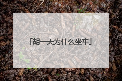 胡一天为什么坐牢