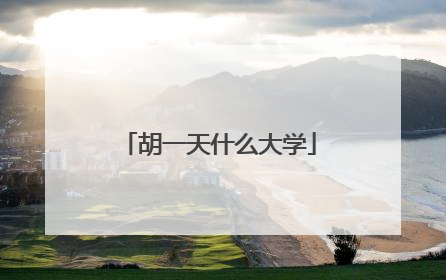 胡一天什么大学