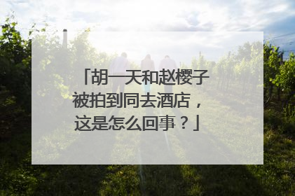 胡一天和赵樱子被拍到同去酒店，这是怎么回事？