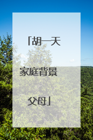 胡一天家庭背景父母