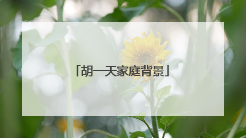 胡一天家庭背景