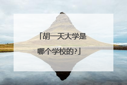 胡一天大学是哪个学校的?