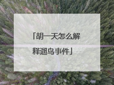 胡一天怎么解释遛鸟事件