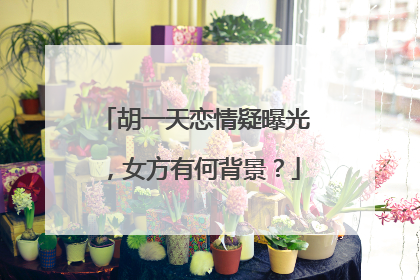 胡一天恋情疑曝光,女方有何背景?