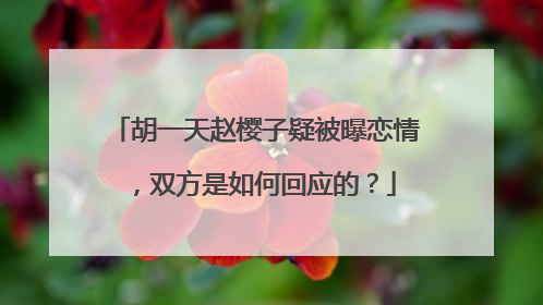 胡一天赵樱子疑被曝恋情,双方是如何回应的?