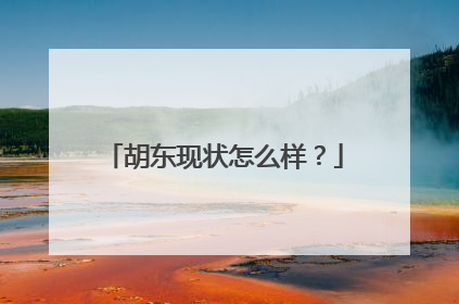 胡东现状怎么样？