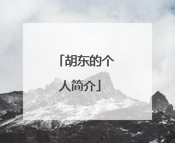 胡东的个人简介