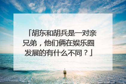胡东和胡兵是一对亲兄弟,他们俩在娱乐圈发展的有什么不同?