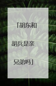 胡东和胡兵是亲兄弟吗