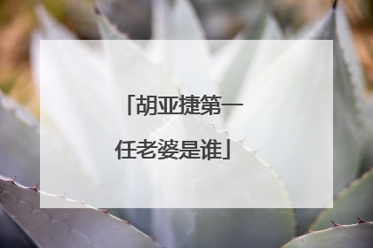 胡亚捷第一任老婆是谁