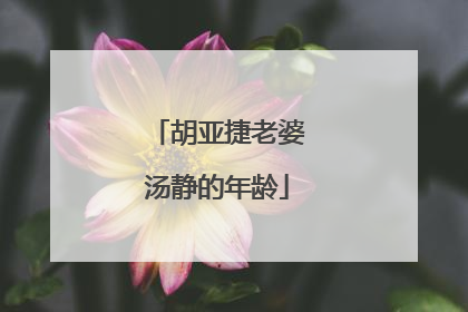 胡亚捷老婆汤静的年龄