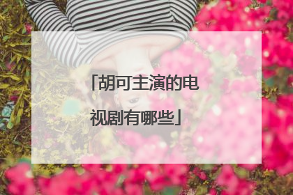 胡可主演的电视剧有哪些