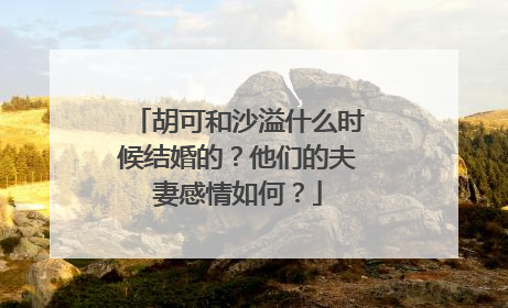 胡可和沙溢什么时候结婚的？他们的夫妻感情如何？