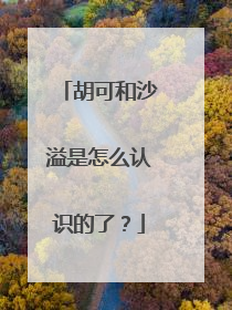 胡可和沙溢是怎么认识的了?
