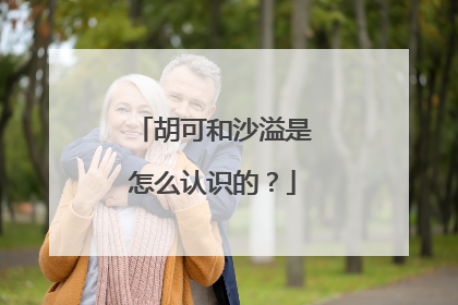 胡可和沙溢是怎么认识的?