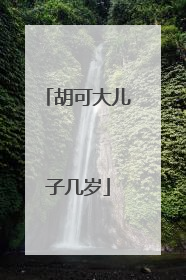 胡可大儿子几岁