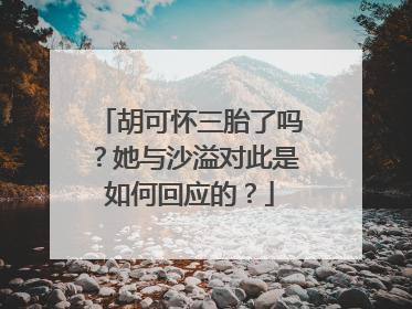 胡可怀三胎了吗？她与沙溢对此是如何回应的？