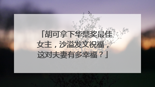 胡可拿下华鼎奖最佳女主,沙溢发文祝福,这对夫妻有多幸福?