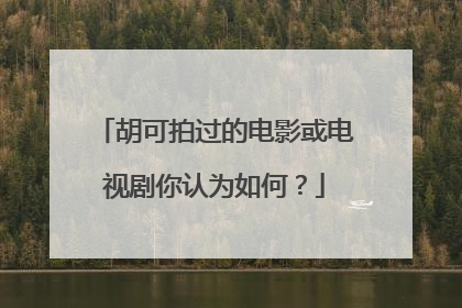 胡可拍过的电影或电视剧你认为如何?
