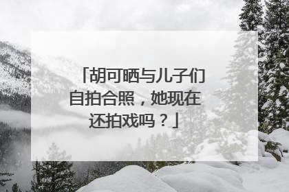 胡可晒与儿子们自拍合照，她现在还拍戏吗？