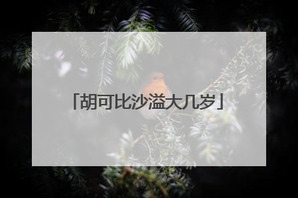 胡可比沙溢大几岁