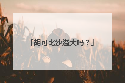 胡可比沙溢大吗？