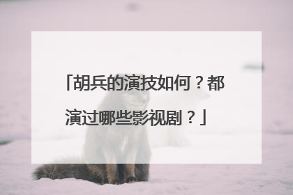 胡兵的演技如何？都演过哪些影视剧？
