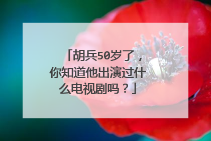 胡兵50岁了，你知道他出演过什么电视剧吗？