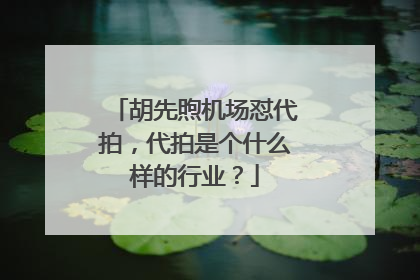 胡先煦机场怼代拍,代拍是个什么样的行业?