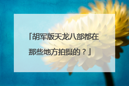胡军版天龙八部都在那些地方拍摄的？