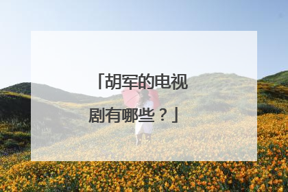 胡军的电视剧有哪些？