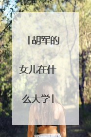 胡军的女儿在什么大学