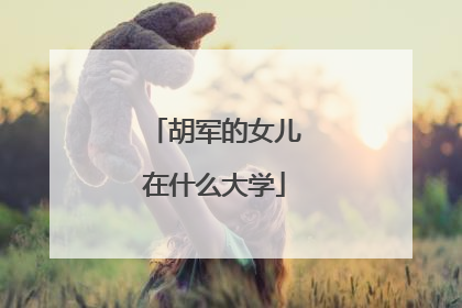 胡军的女儿在什么大学