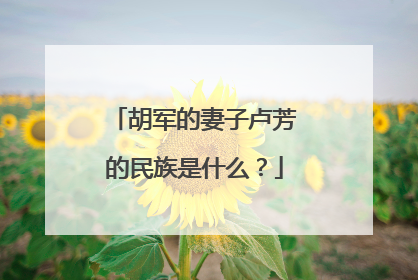 胡军的妻子卢芳的民族是什么？