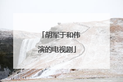 胡军于和伟演的电视剧