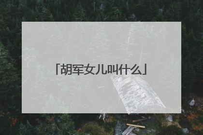 胡军女儿叫什么