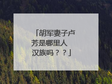 胡军妻子卢芳是哪里人 汉族吗？？