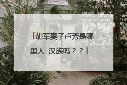 胡军妻子卢芳是哪里人 汉族吗？？