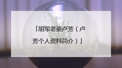 胡军老婆卢芳(卢芳个人资料简介)