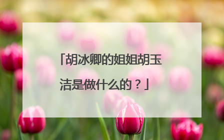 胡冰卿的姐姐胡玉洁是做什么的？